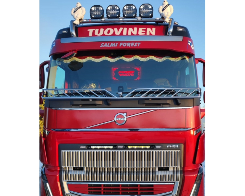 Fågelskydd med galler Volvo FH4 Ny FM4 Ny Lyson se