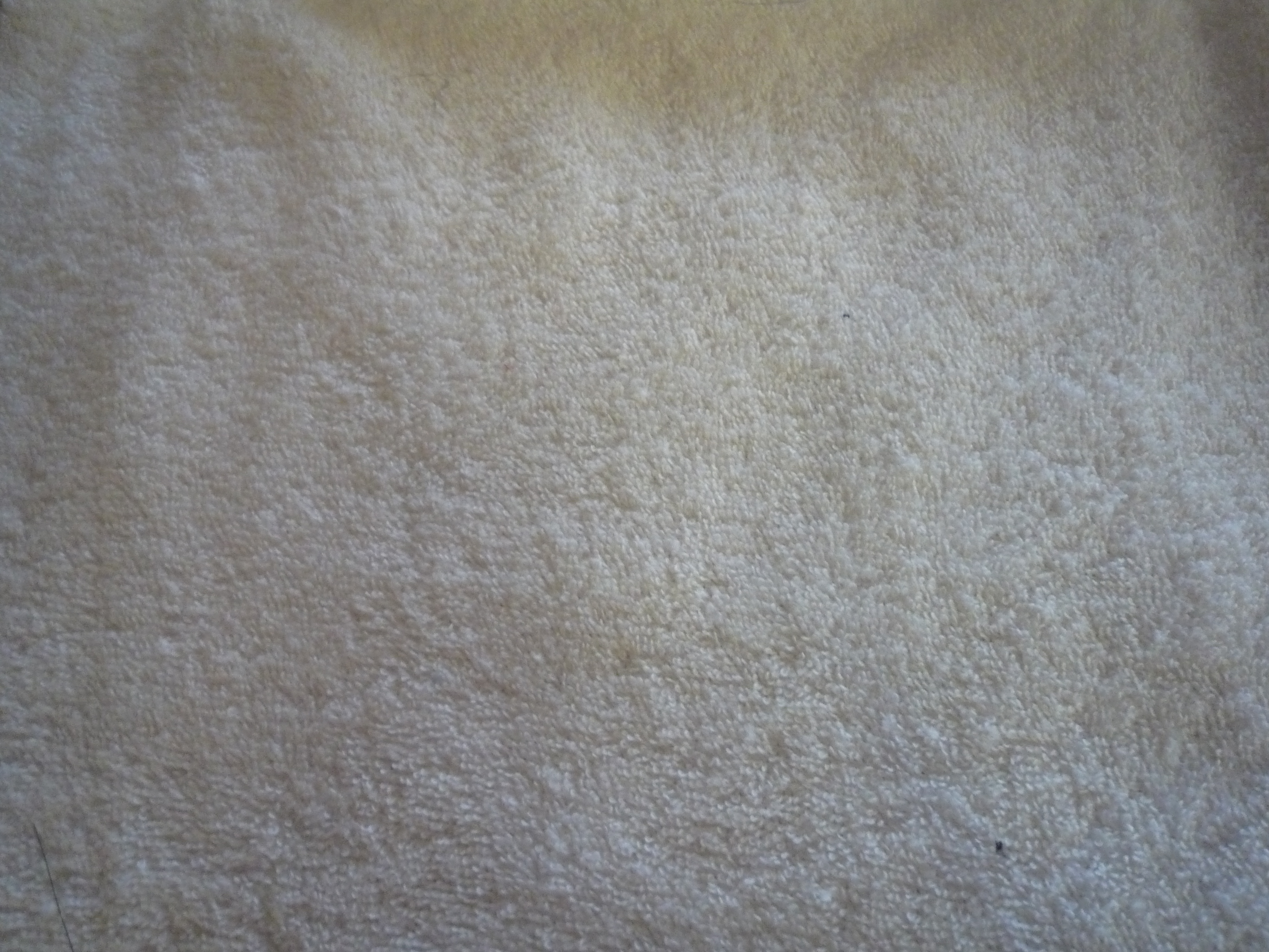 Bomullsfrotté med stretch Bredd 200 cm