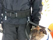 HUNDFÖRARBÄLTE, med ringar och Bgb karbiner. - 2