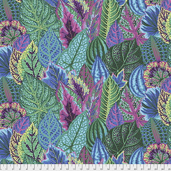 Coleus  Turquoise