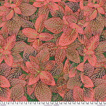 Kaffe Fassett Coll  Fittonia