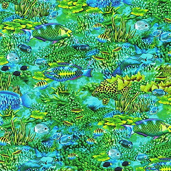 Kaufman Coral Pond