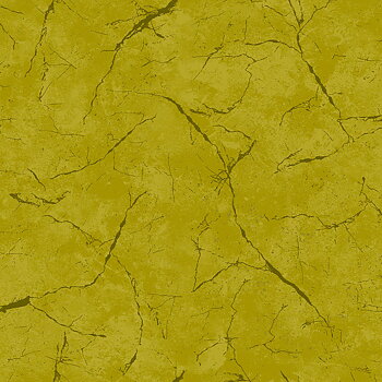 Pietra Olive