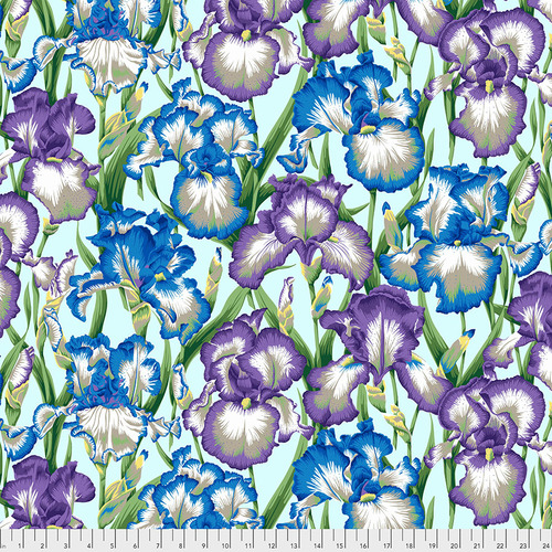 Philip Jacobs Iris
