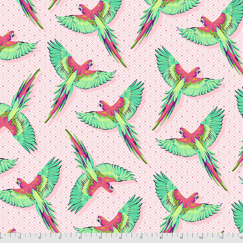 Tula Pink  Daydreamer Macaw