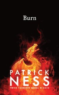 Burn - 2