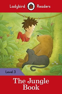 Level 3