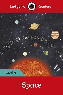 Level 4