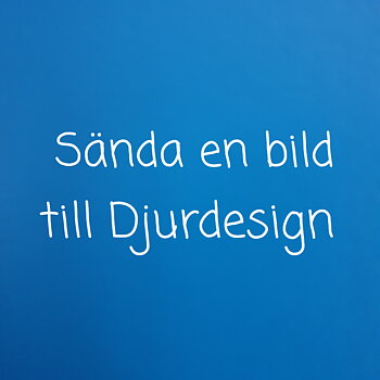 Sända bild till djurdesign 