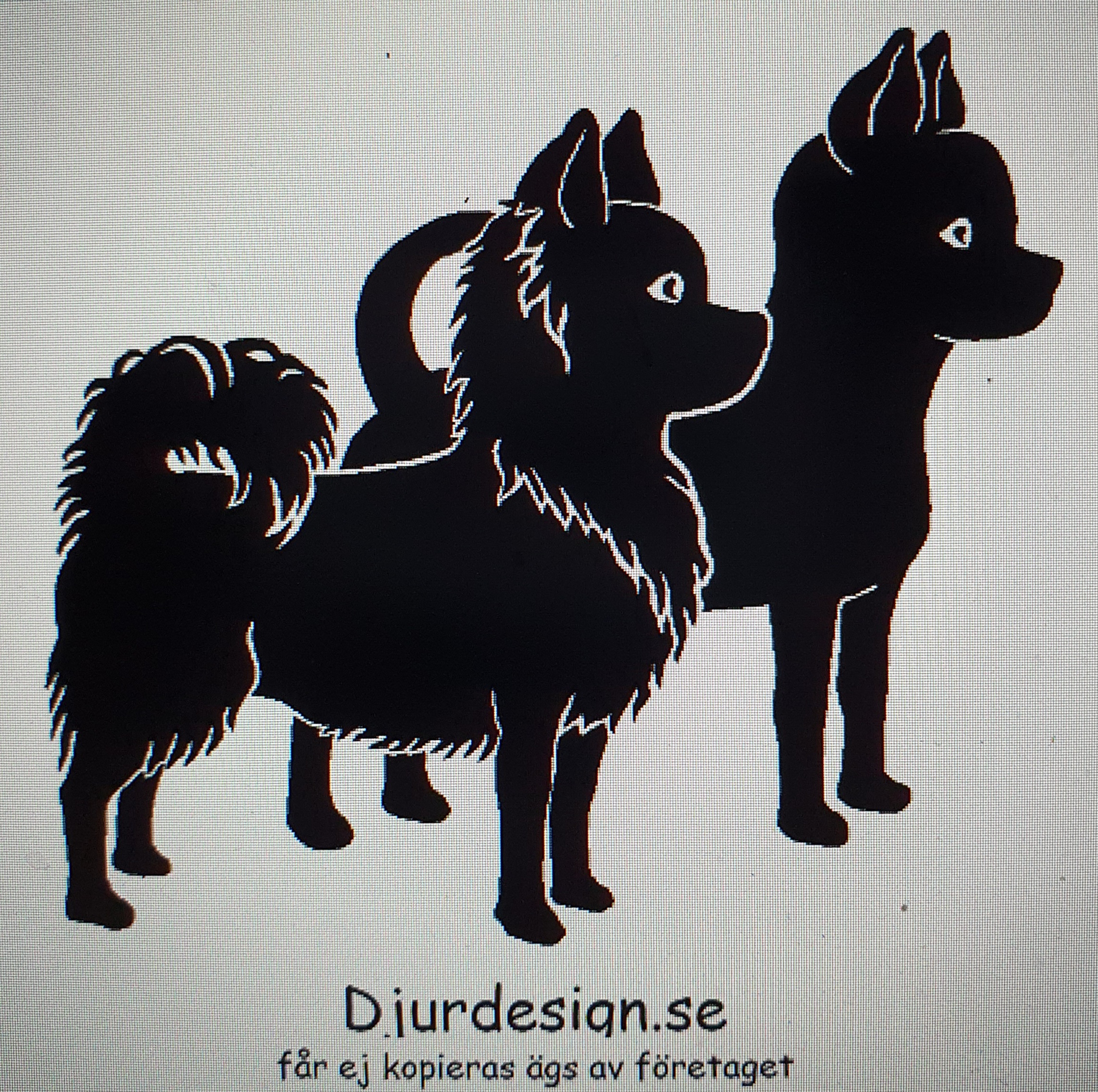 Chihuahua lång & kort Klisterdekal  för bil husbil skyltar fönster mm flera storlekar & färger 