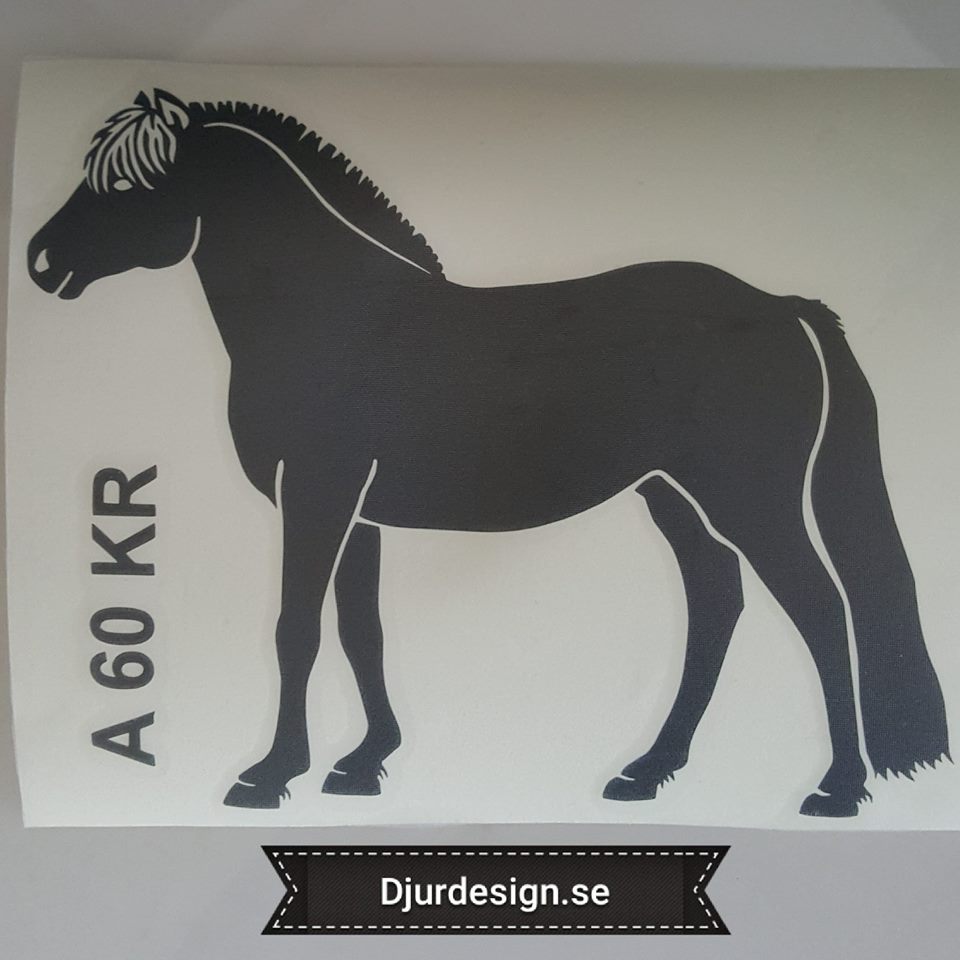  Nr 5 Fjordhäst