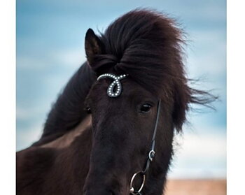 16 Nordic-Hors Nytt snyggt nackstycke med pandband i dropform bling bling stora klara stenar.