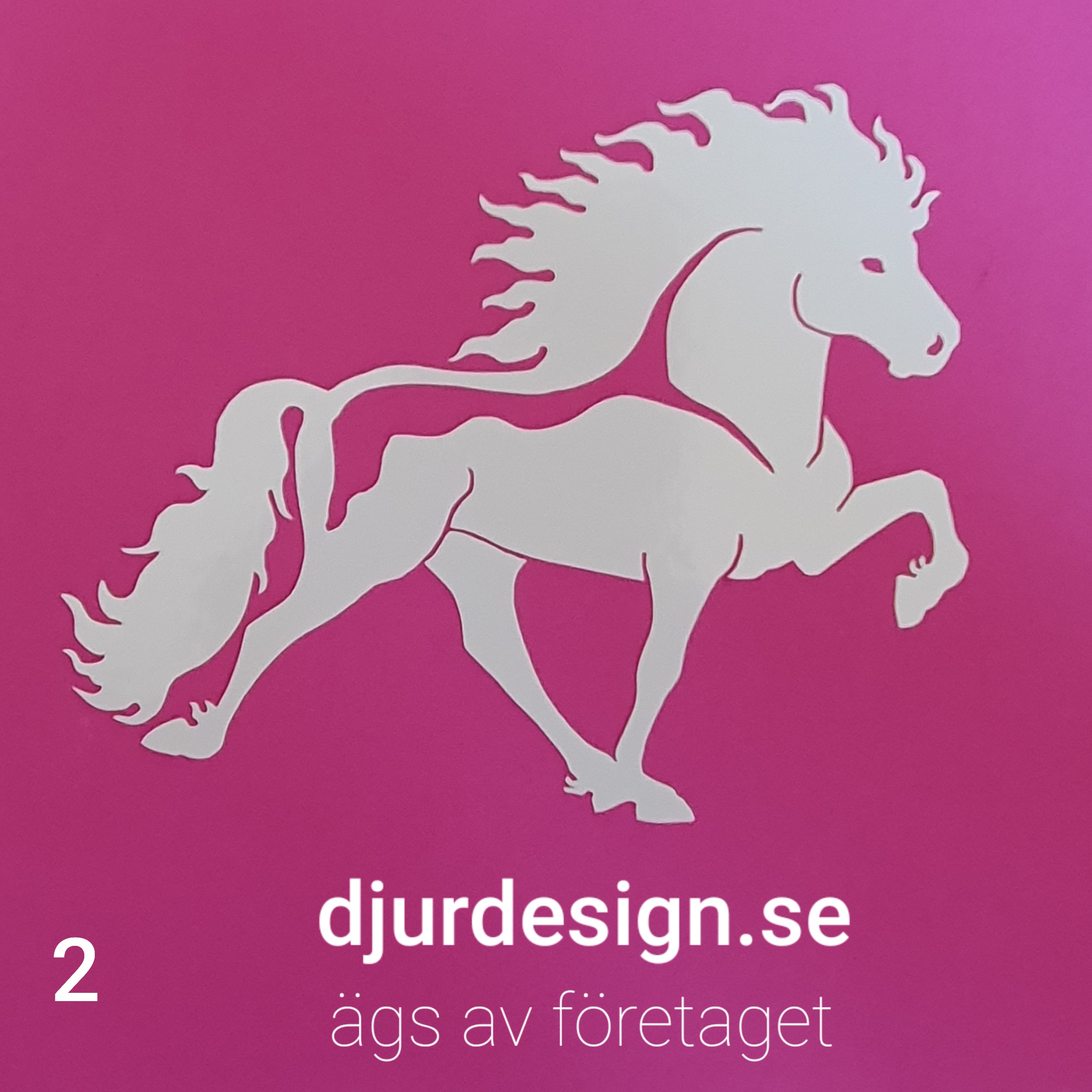 Nr 2 Islandshäst 11 storlekar & 20 färger klisterdekal