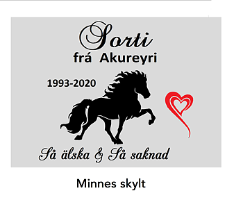 Nr 28  Minnes skylt islandshäst samt hjärta