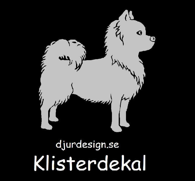 Chihuahua Klisterdekaler flera storlekar & färger