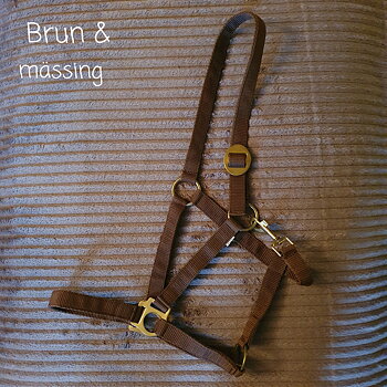 COB Brun mässing grimma med namn brodyr A-B 46 C-D 32 cm