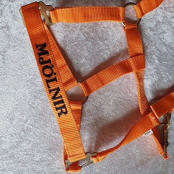 COB  Orange mässing grimma med namn brodyr A-B 47 C-D 32 cm