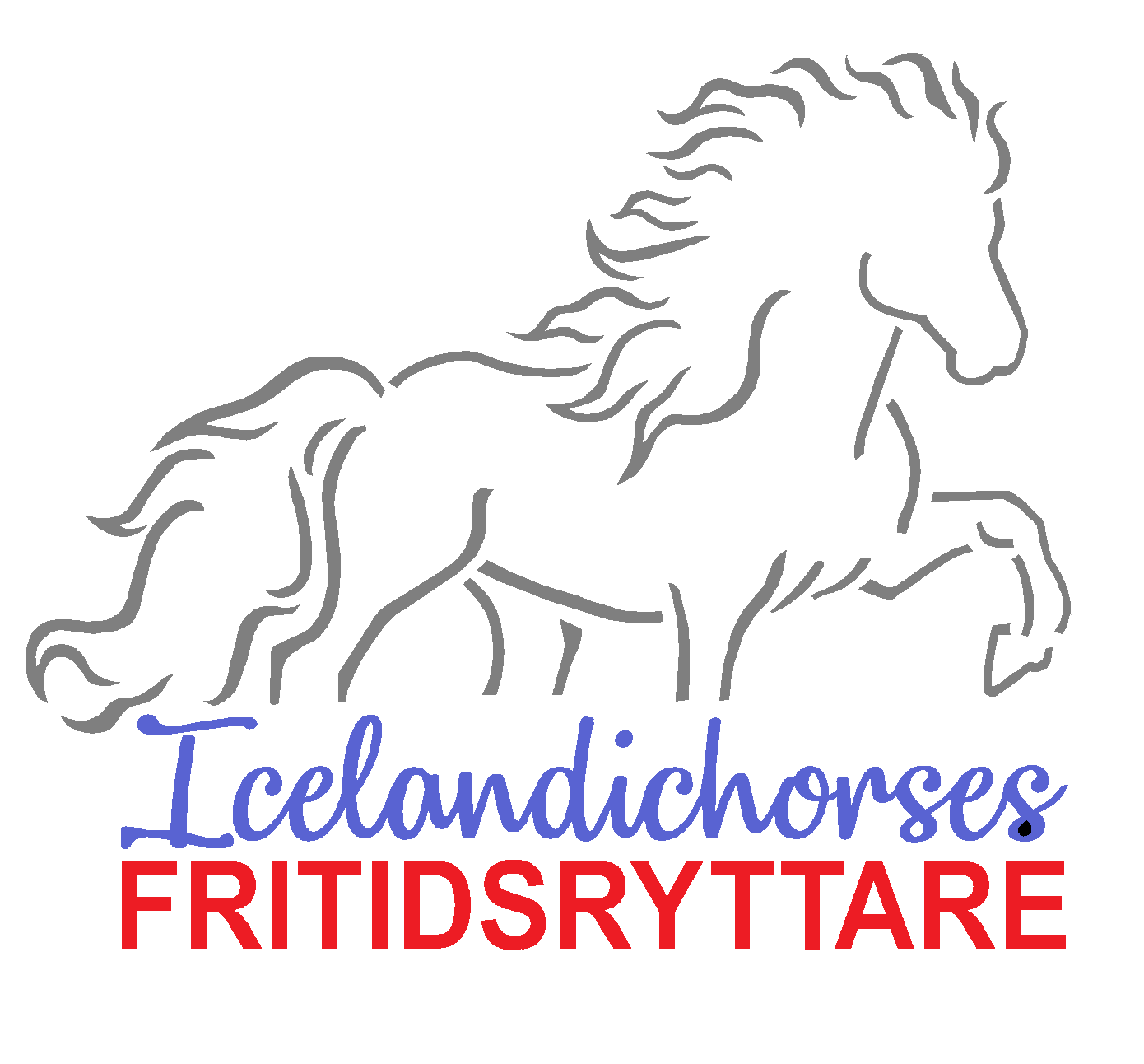 Klisterdekal till transport FRITIDSRYTTARE Grafit blå röd  2 storlekar