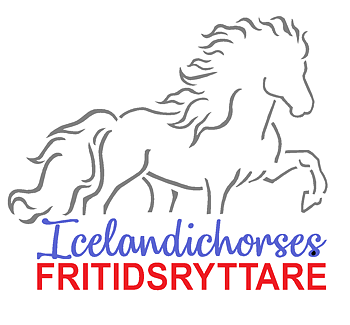 Klisterdekal till transport FRITIDSRYTTARE Grafit blå röd  2 storlekar
