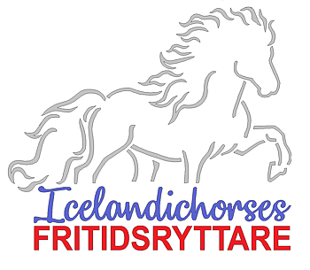 Klisterdekal till transport FRITIDSRYTTARE Silver blå röd  2 storlekar