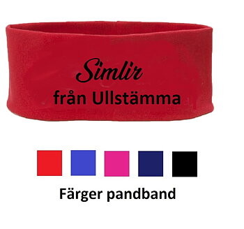 Nr 10 Pannband flera färger, Valfri text i 2 rader.  Tryck i färger eller reflex samt olika typsnitt.