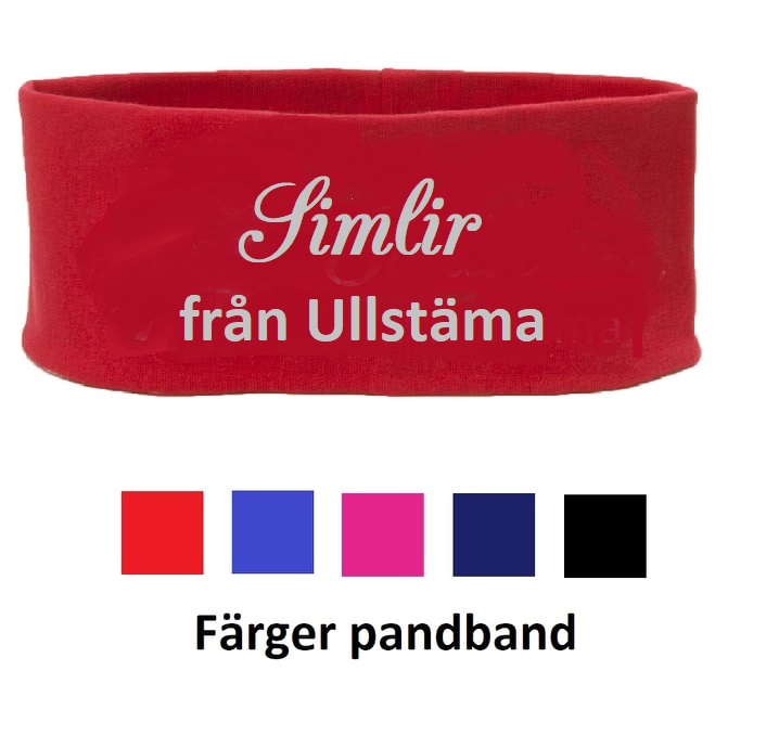 Nr 10 Pannband flera färger, Valfri text i 2 rader.  Tryck i färger eller reflex samt olika typsnitt. - 2
