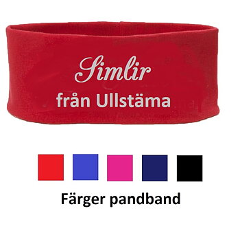 Nr 10 Pannband flera färger, Valfri text i 2 rader.  Tryck i färger eller reflex samt olika typsnitt.