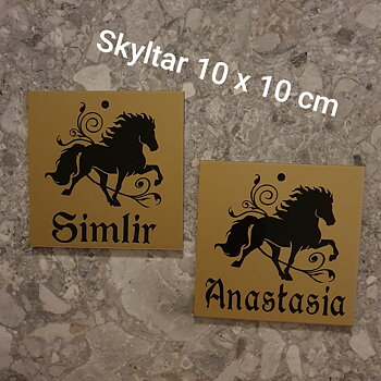 Nr 2A Träns & sadel namnskylt Islandshäst slinga i flera färger svart vit silvrig & guld 10 x 10 cm islandshäst slinga + namn 