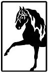 Reflex Lusitano