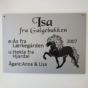 Nr 32 Boxskylt med Islandshäst som Silversvart Silverbrun  Fux ljus man & svans eller isabell