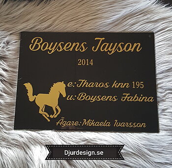  Boxskylt med Ponny i galopp