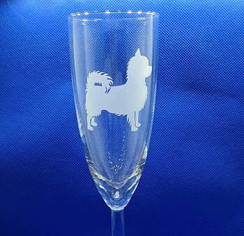 Nr 5 Graverad Chihuahua champange glas 