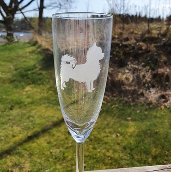 Nr 5 Graverad Chihuahua champange glas 