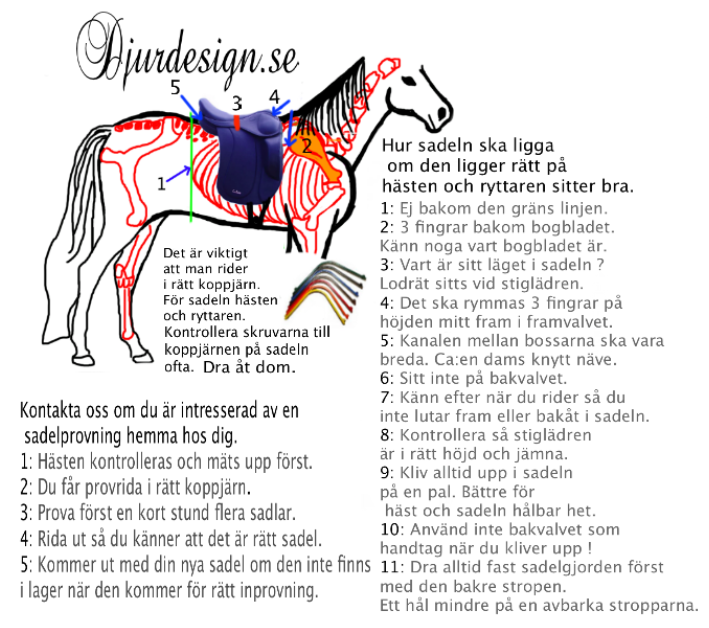 Hur sadeln ligger