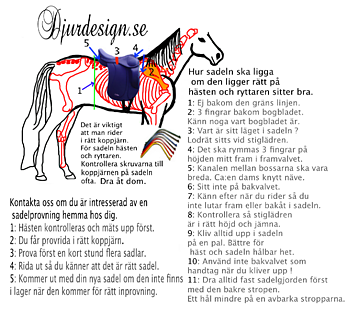 Hur sadeln ligger