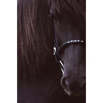 5 Nordic Horse Högnosgrima med 5 klara stenari swarovski, Populärt.