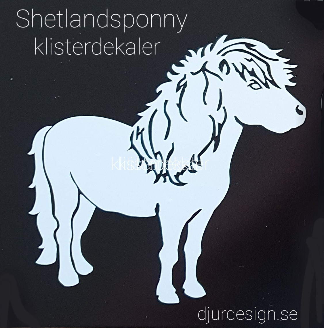 Nr 10 Shetlands ponny Klisterdekal
