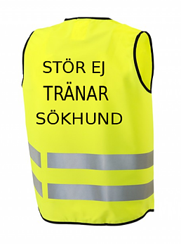 Reflexväst för eget val av text fram och bak. ex; HUND TRÄNA mm