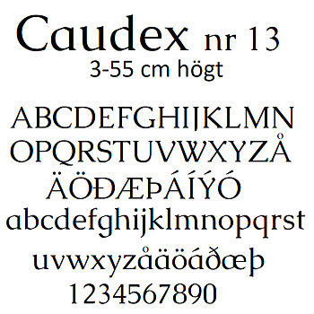 Nr 13 Klisterdekal egen text typsnitt Caudex i flera färger 3- 25 cm höga Priset är per bokstav 