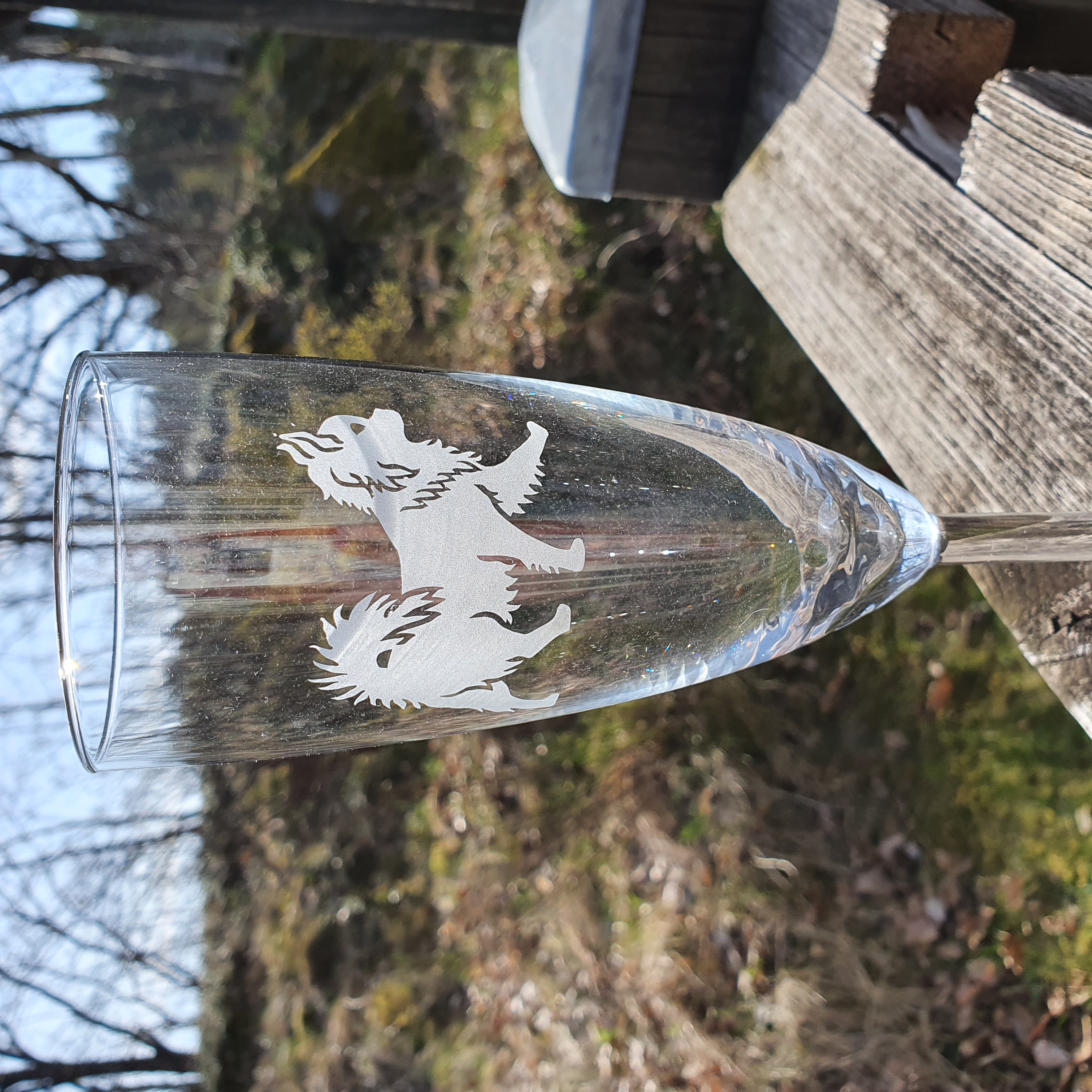 Nr 7  Graverad Chihuahua champange glas  - 2