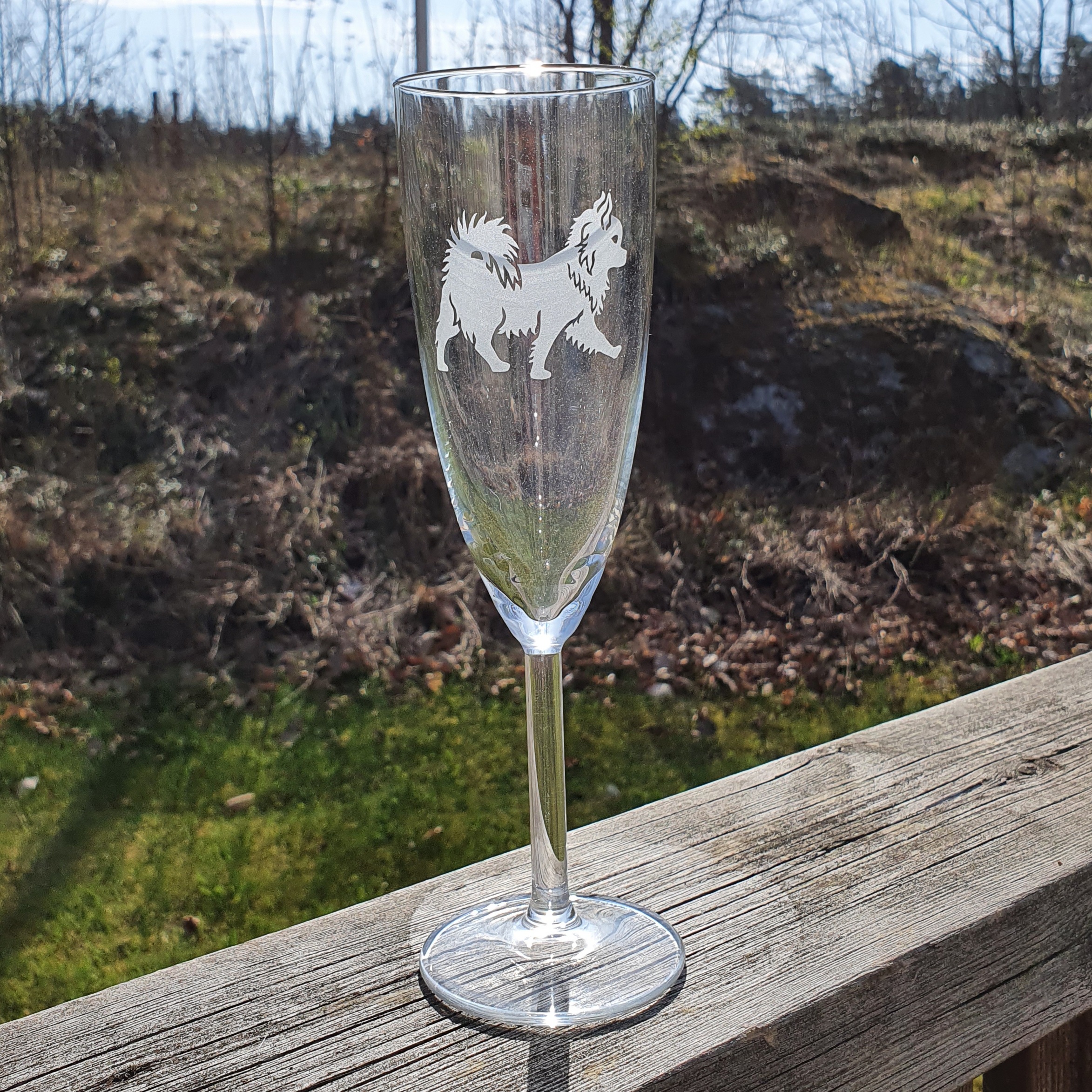 Nr 7  Graverad Chihuahua champange glas  - 3