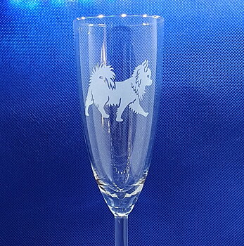 Nr 7  Graverad Chihuahua champange glas 