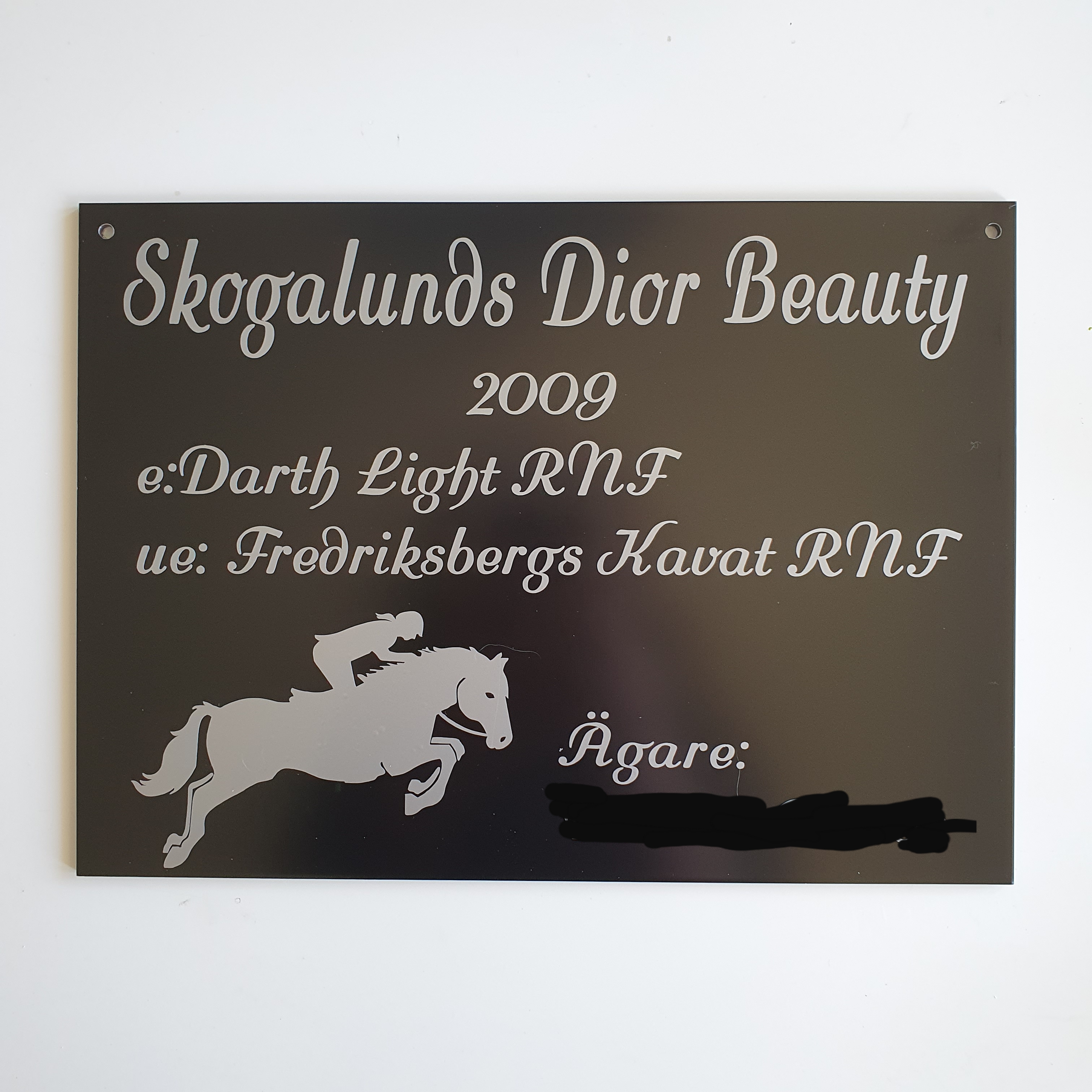 Nr 1 Boxskylt med Hopphäst ryttare/långt hår 21 x 29 cm 