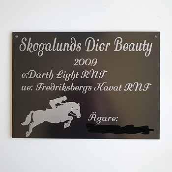 Nr 1 Boxskylt med Hopphäst ryttare/långt hår 21 x 29 cm 