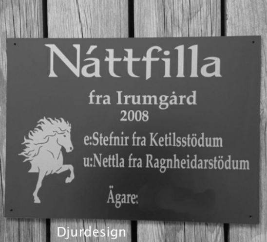Nr 17 Boxskylt med islandshäst samt Namn Gårdsnamn År e & u Ägare - 5