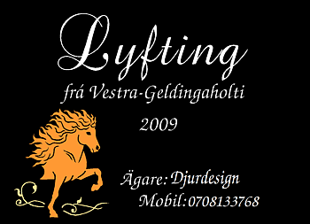 Nr 4 Boxskylt Slinga & islandshäst