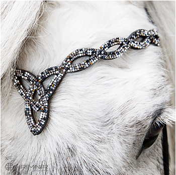 HRIMNIR Nackstycke  Fire and Ice
