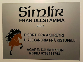 Nr 16 Boxskylt islandshäst i färg isabell fux svart brun mm