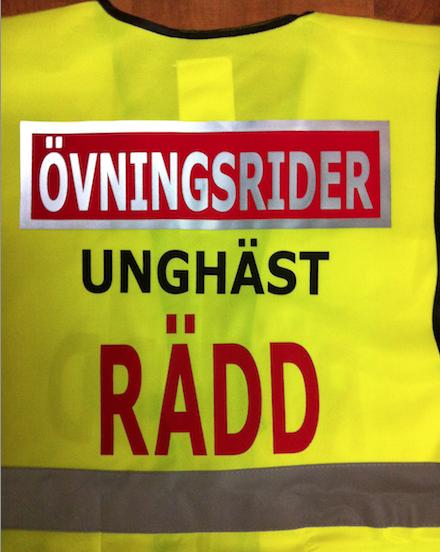 Reflexväst gul med tryck fram och bak ÖVNINGSRIDER  UNGHÄST RÄDD Vår mest populära  !!  - 3