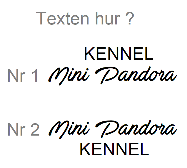 Nr 2 Vit / Röd vinsglas 68 cl Chihuahua med kennelnamn - 3